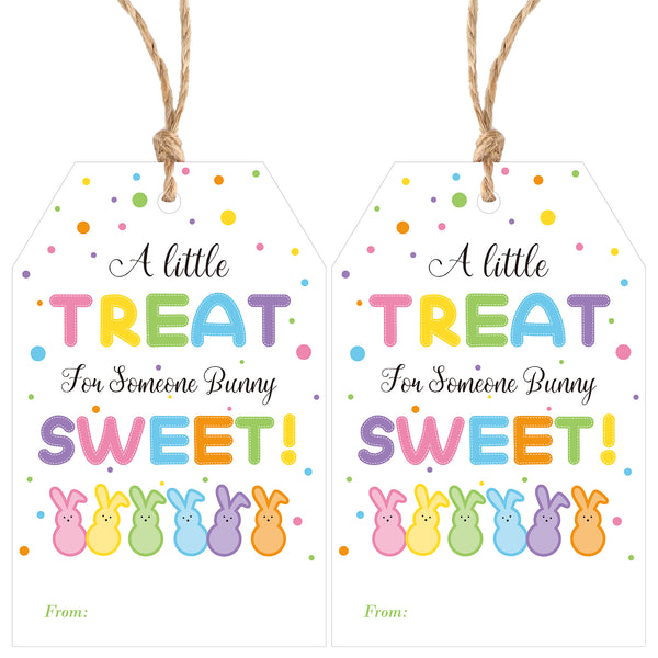 Easter Gift Tags with String, Easter Bunny Name Gift Tags 50 Pcs Happy Easter Tags Easter Design Basket Name Tags for Gift Wrapping Treat Bags Easter Decoration (Treat Sweet)