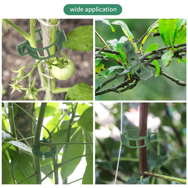 KINGLAKE 100 Plant Clips, Plant Clamps, Tomato Clips, Plant Support Clips for Climbing Plants, Cucumbers, Greenery