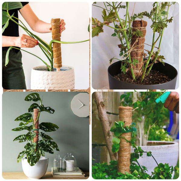 KINGLAKE 4Pcs 30cm Moss Pole, Coco Coir Totem Moss Sticks for Climbing Plant Support, Plant Stakes for Monstera Cheese Plants Grow Upwards with 30m Plant Ties,2m Garden Tape,10m Jute Twine