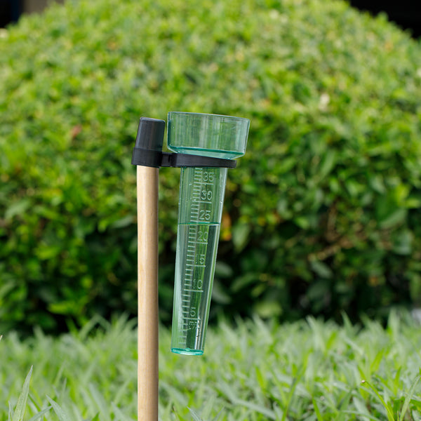 KINGLAKE Rain Gauges Plastic Rain Collector for Outdoor Garden, Clear Light Green