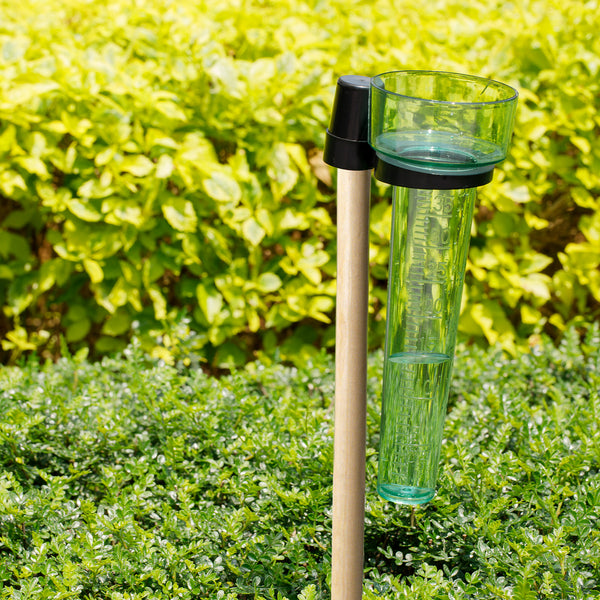 KINGLAKE Rain Gauges Plastic Rain Collector for Outdoor Garden, Clear Light Green