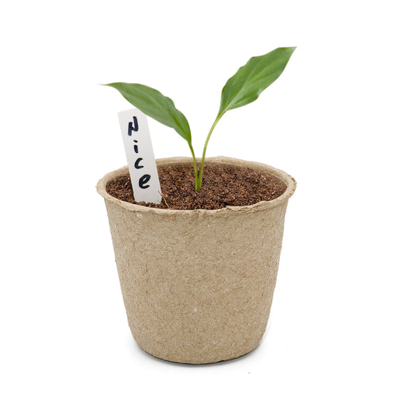 100 Pcs 3 Inch Seeds Starter Peat Pots,Transplant Seedlings Pots,Biodegradable Pots with 100 Pcs Plastic Plant labels 1 x 5 cm