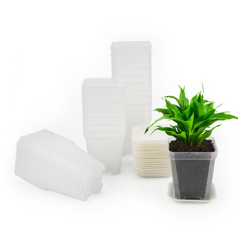 36 Pcs 3inch Nursery Pots,Thick Plastic Square Planter Pots,Flower Plant Container Seed Starting Transplanting Pots (Clear)