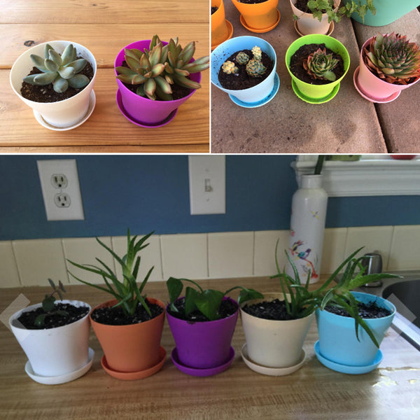 8 Pcs 4" Plastic Plant Flower Seedlings Nursery Pot/Pots Planter Colorful Flower Plant Container Seed Starting Pots with Pallet,8 Colors
